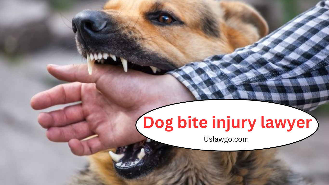 Dog bite injury lawyer | personal injury lawyer dog bite Protecting Your Rights in the U.S.